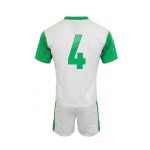 HOLLAND WHITE EMERALD PACK OF 14 - Image 4