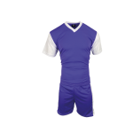 HOLLAND PURPLE WHITE PACK OF 14