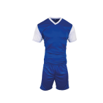 HOLLAND ROYAL WHITE PACK OF 14