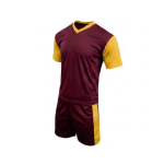 HOLLAND MAROON GOLD PACK OF 14 - Image 2