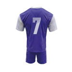HOLLAND PURPLE WHITE PACK OF 14 - Image 4