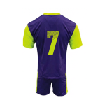 HOLLAND PURPLE NEON YELLOW PACK OF 14 - Image 4